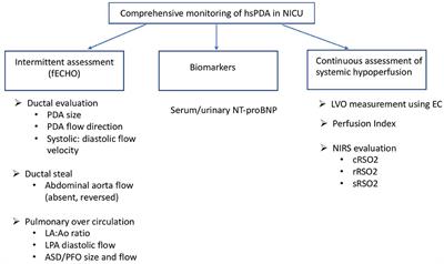 Objective Assessment of Physiologic Alterations Associated With Hemodynamically Significant Patent Ductus Arteriosus in Extremely Premature Neonates